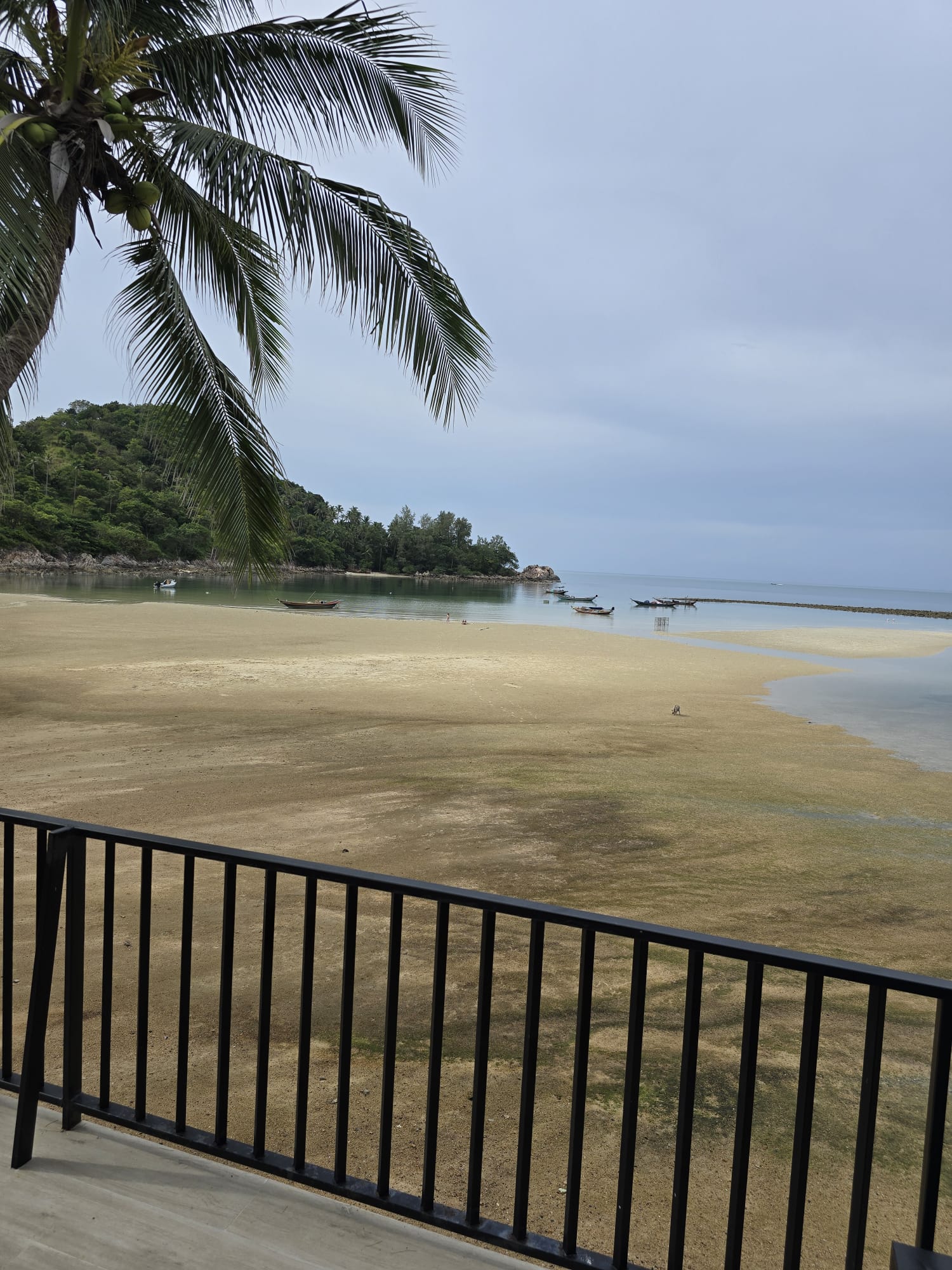 Koh Pangan